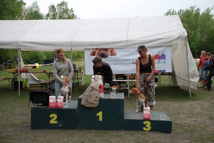 vyhlášení beagle poháru.jpg