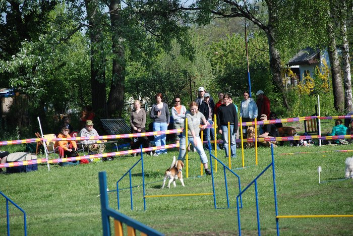 0 Hemi umí slalom líp než já.jpg