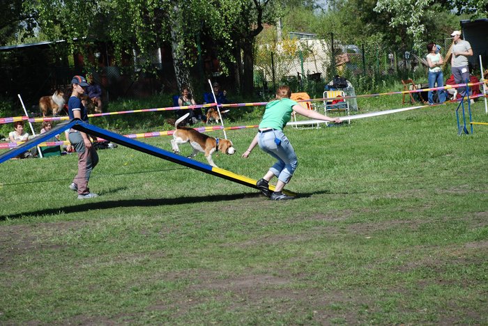 5 áčko.jpg