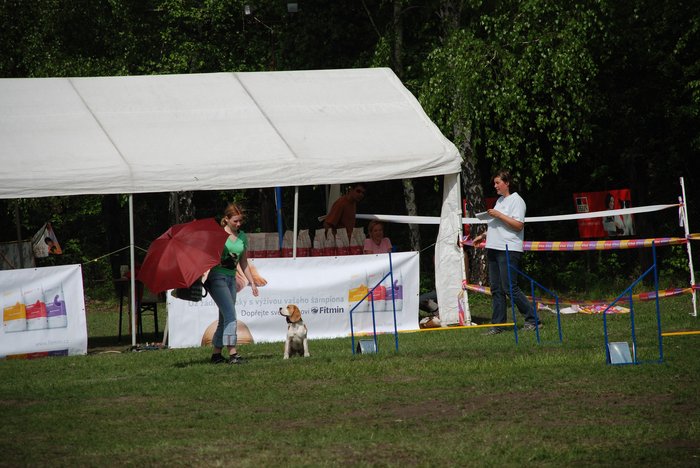 6 start hry s deštníkem a igelitkou.jpg